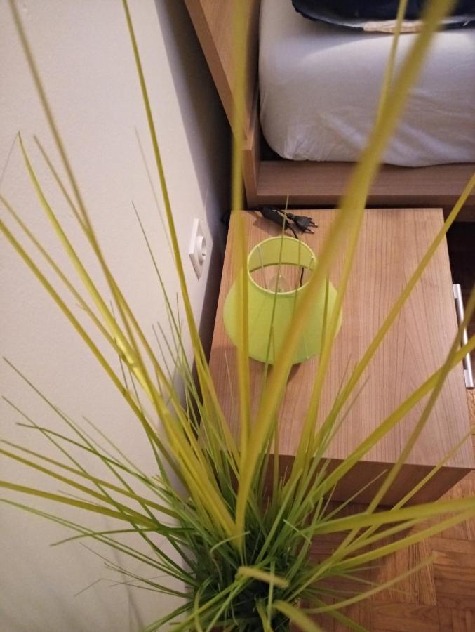 Apartment San Izola - Near The Beach Zewnętrze zdjęcie